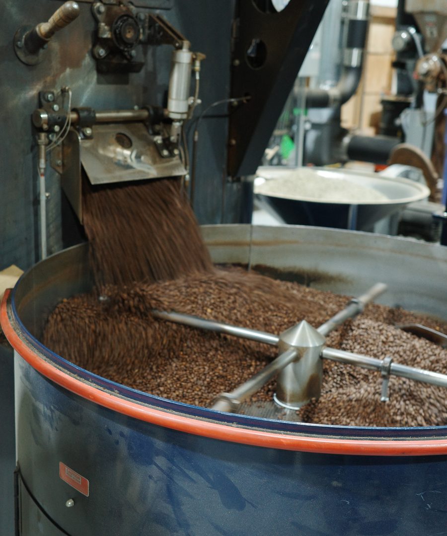 Freshly roasted coffee beans dropping into the cooling tray at the roastery